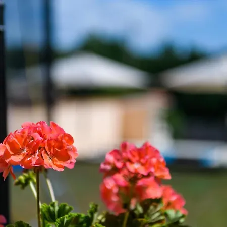 Mit Privatpool Fuer 4 Personen Ca 120 Qm In Divsici, Istrien Suedkueste Von Istrien Holiday home